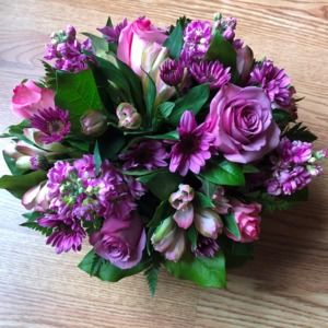 Meet your Posher, Amy